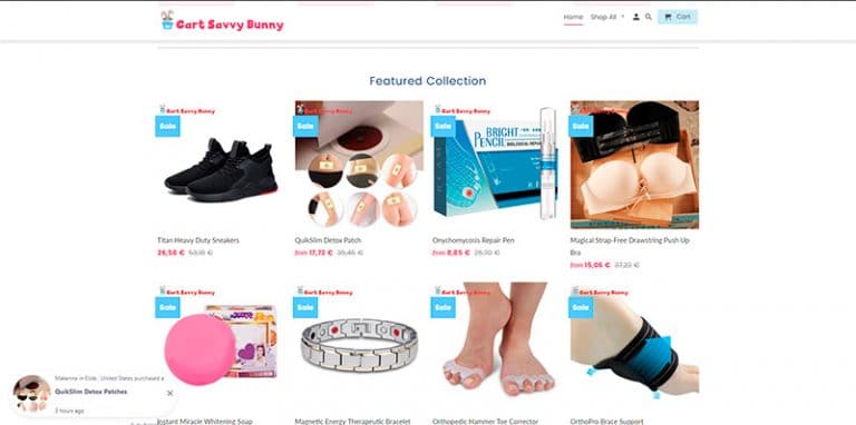 cartsavvybunny.com tienda online dudosa online multiproducto