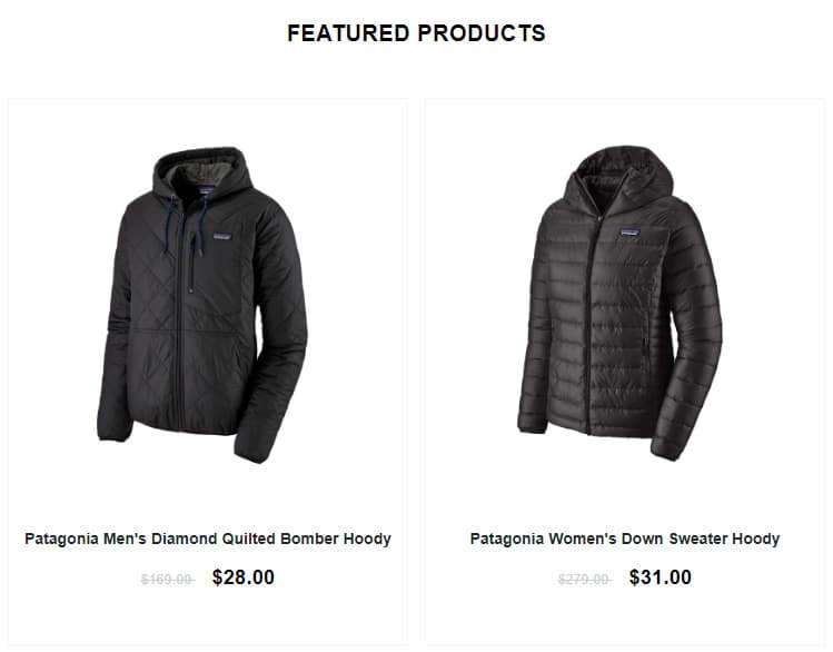 Patagoniamalls.site False Shop Online Patagonia