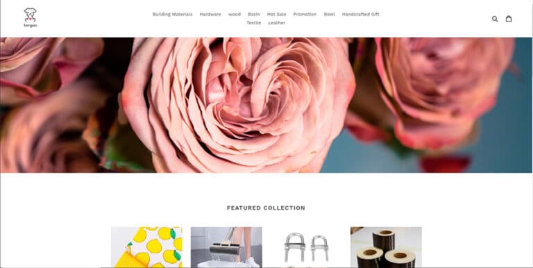 tergun.com fake online store multiproducts