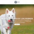 Mundodelperros.com Tienda Online Dudosa Camas Perros