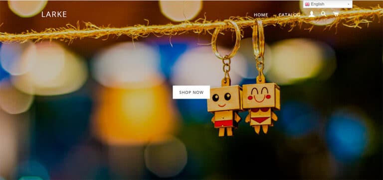 larke.store fake multiproduct online shop