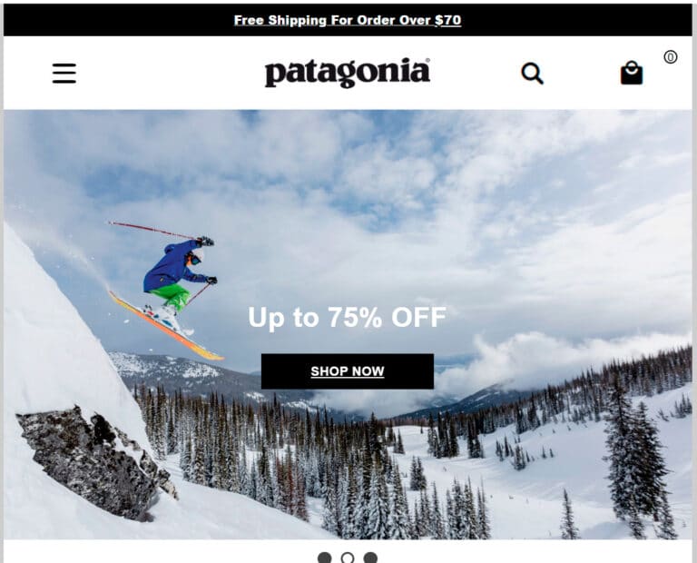 patagoniaonline.club questionable online store Patagonia