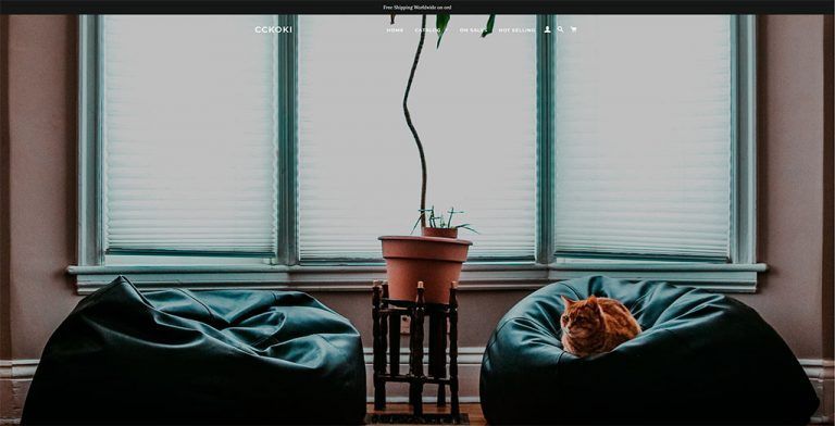 cckoki.com fake multi-product online shop