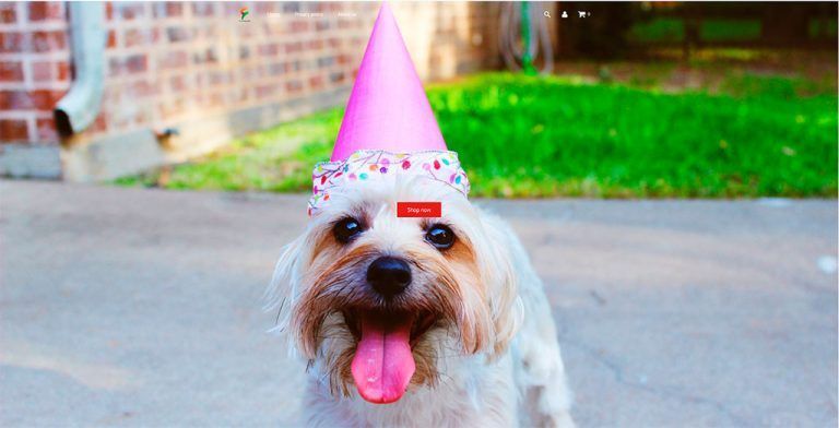 flechazo.shop questionable online store for pets