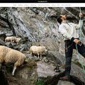 Pgonflyfishing.today Tienda Online Dudosa Productos Patagonia