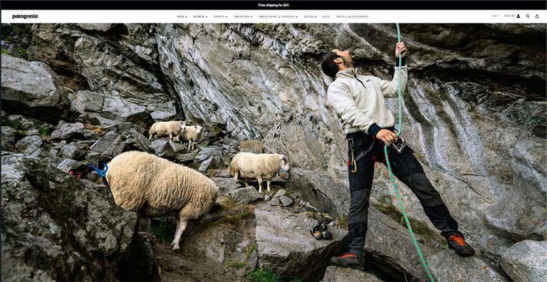 pgonflyfishing.today questionable online store Patagonia products