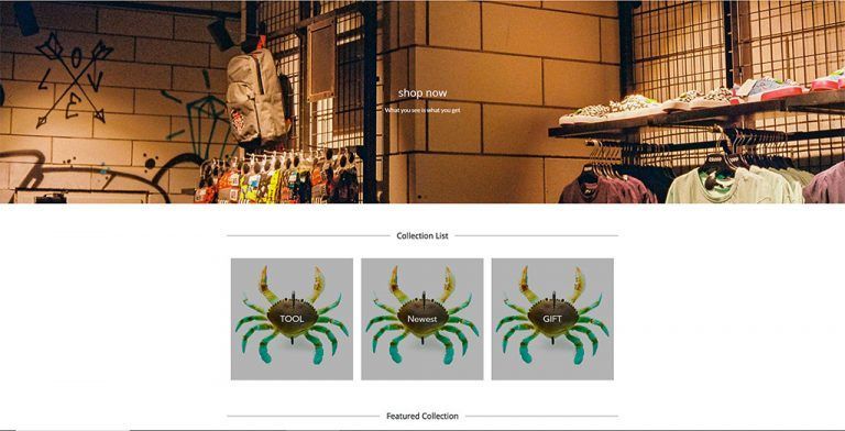 thewordstores.com fake multi-product online shop