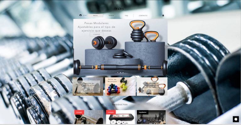 parss.mx online shop dubious bodybuilding weights