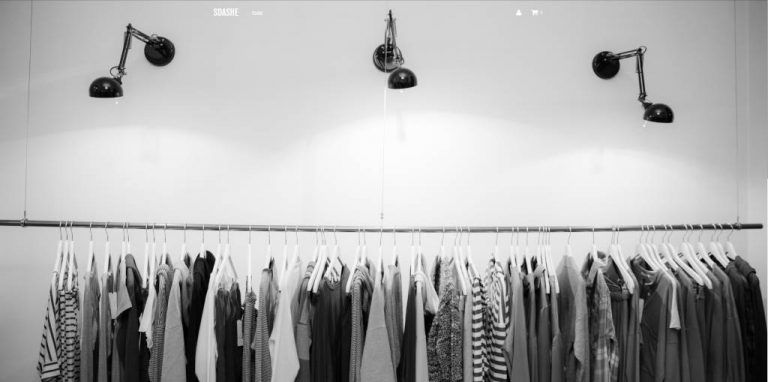 sdashe.com dubious multi-product online shop