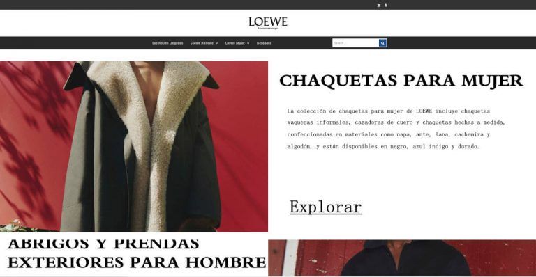 anexmontenegro.com tienda online dudosa Loewe
