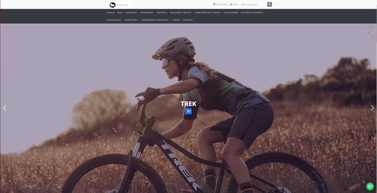 tecno-chile.cl tienda online dudosa electrónica