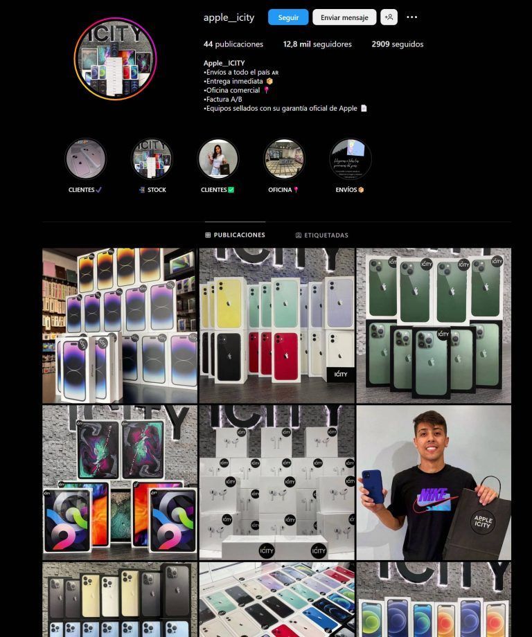 Perfil de Instagram Apple__icity