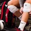 Mizunomexico