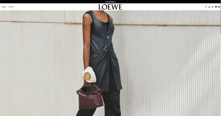 bolsosloewespain.com tienda online dudosa bolsos Loewe