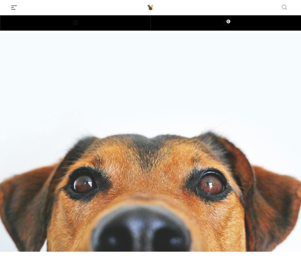 Tienda Online Dudosa Productos Para Mascotas