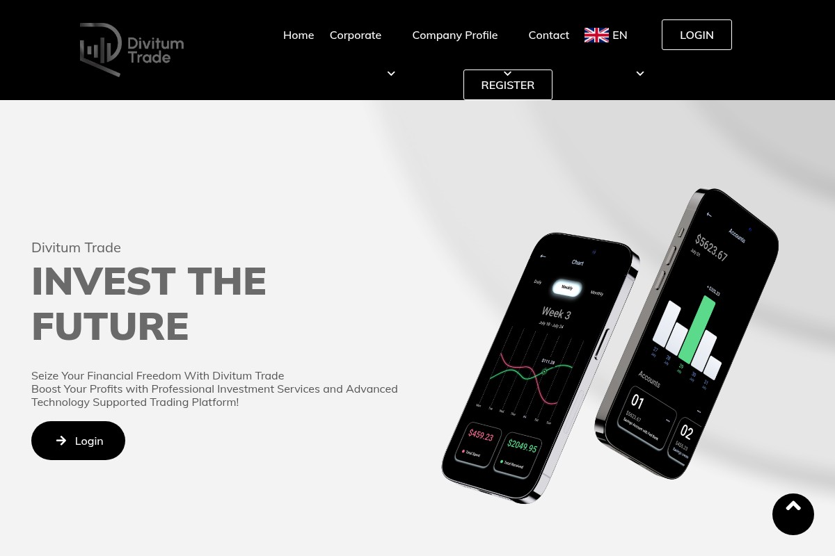 Captura de la tienda online divitumtrade.com